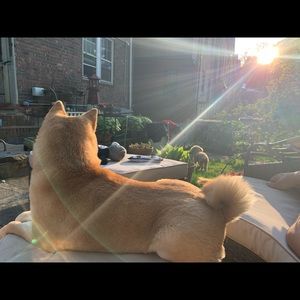 Taking offers,slashing prices & adding things